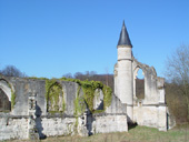 PhotoLRX/16-3-03/St-Crépin